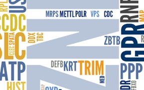 DNA Repair Mechanism Database | Search by gene symbol